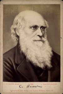 Charles Darwin, British Naturalist, c1860s-c1870s by Ernst Hader