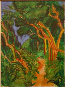 Fehmarn Landscape, Forest Path