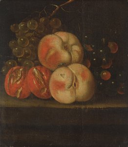 Fruit Study