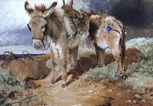Donkeys, 1855