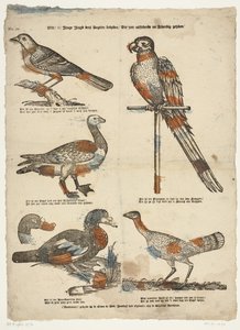 Wilt /ô! Young Youth Look at These Birds / That Very Much Resemble Life