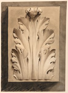 Drawing, Acanthus Leaf: from a Cast