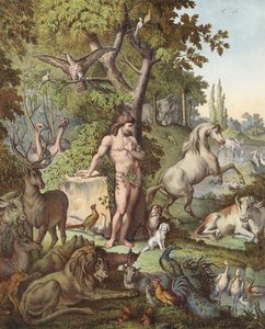 Adam in the Garden of Eden by Etienne Antoine Eugene Ronjat
