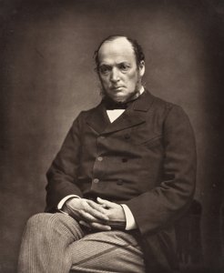 Émile Deshayes de Marcère French Politician