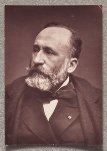 Puvis de Chavannes by Etienne Carjat
