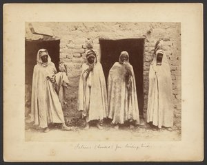 Falcons (Hooded) for Hunting Birds by Etienne Neurdein