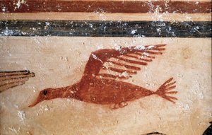 A Bird (Detail)