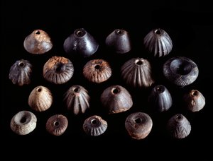 Etruscan civilization: terracotta fusaioli from Tomb 1 of San Cerbone, Populonia - 7th century BC