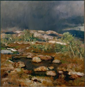 Rain Shower in the Norwegian Highlands