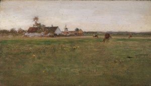 Evening Landscape