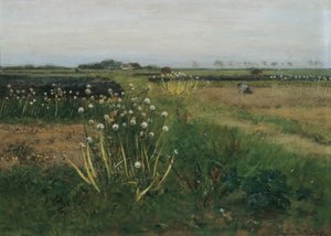 Blooming Onion Field
