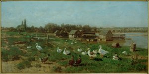 Danube Mills