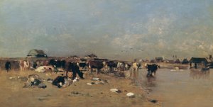 Cattle Watering at the Waag