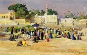 Reed Sellers on the Nile