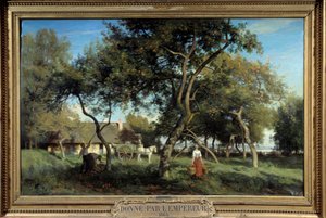 Picking apples in Normandy in 1865