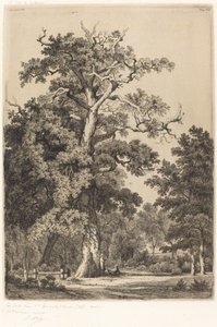 Ancient Oak in the Bois de Boulogne by Eugene Bléry