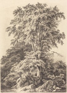 Beech Grove by Eugene Bléry