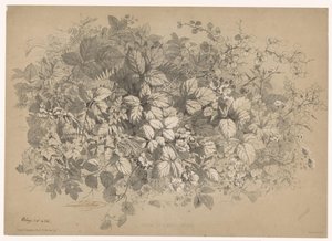 Blackberries and Other Plants by Eugene Bléry