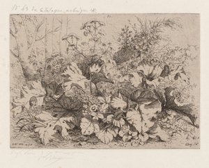 Burdock in Bloom, 1858 by Eugene Bléry