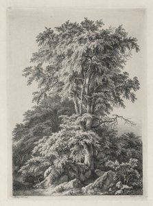 Studies Drawn and Engraved after Nature: The Beach, Fontainbleau by Eugene Bléry