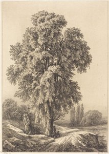 The Elm Tree by Eugene Bléry