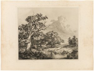 The Old Oak by the Pools at Bellecroix