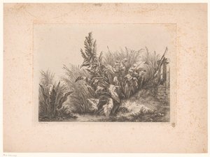 Water Dock and Reeds on the Bank (series title) Drawn and Engraved Studies from Nature by Eugene Bléry