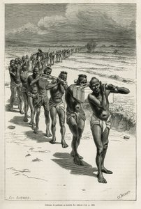 Column of Bearers Through the Rice Fields, Between Bassac and Hue