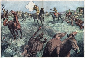 Wild horses are slaughtered in the United States. Illustration of Damblans. In 
