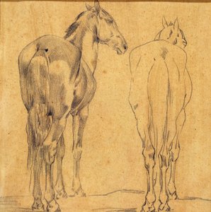 Study of Two Horses
