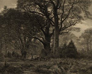 Forest of Fontainebleau
