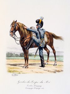 Gardes-du-Corps de Roi, Cavalier d