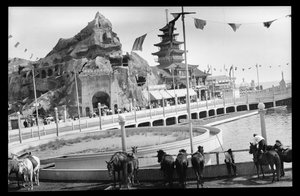 View of Coney Island, 1909
