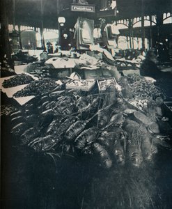 Fish Market