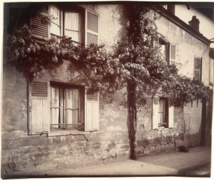 Wisteria, Châtillon by Eugène Atget