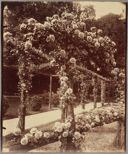 Garden of Bagatelle by Eugène Atget