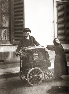 Organ Player