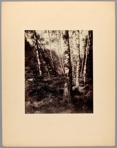 Park of Saint-Cloud