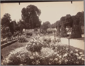 Saint-Cloud by Eugène Atget