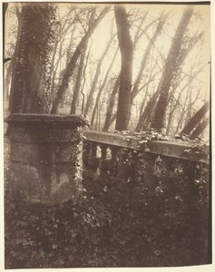 Saint-Cloud Park, Paris by Eugène Atget