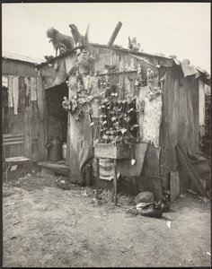 Villa of a Ragpicker