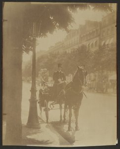 Waiting Carriage