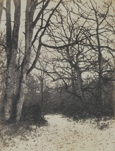 Fontainebleau Forest, ca. 1860