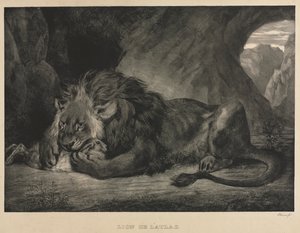 Lion of the Atlas Mountains by Eugène Delacroix