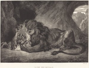 Lion of the Atlas Mountains by Eugène Delacroix