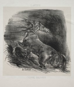 The Wild Horse, or Frightened Horse Leaving the Water by Eugène Delacroix