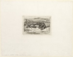 Tiger Resting in the Desert