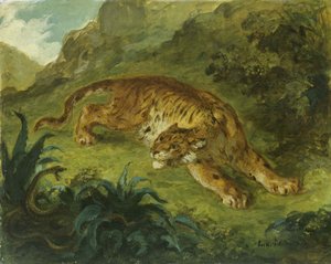 Tiger and Snake