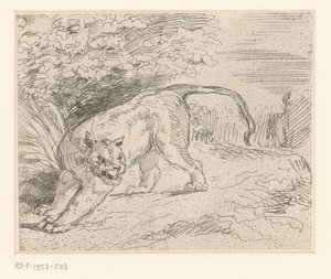 Tiger by Eugène Delacroix