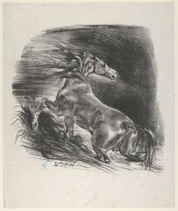 Wild Horse by Eugène Delacroix